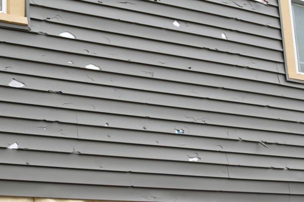 Best Composite Siding  in Franklin, NC