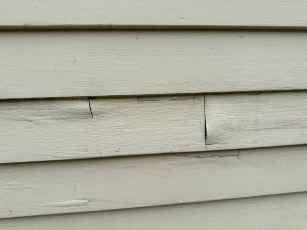 Best Siding Replacement  in Franklin, NC